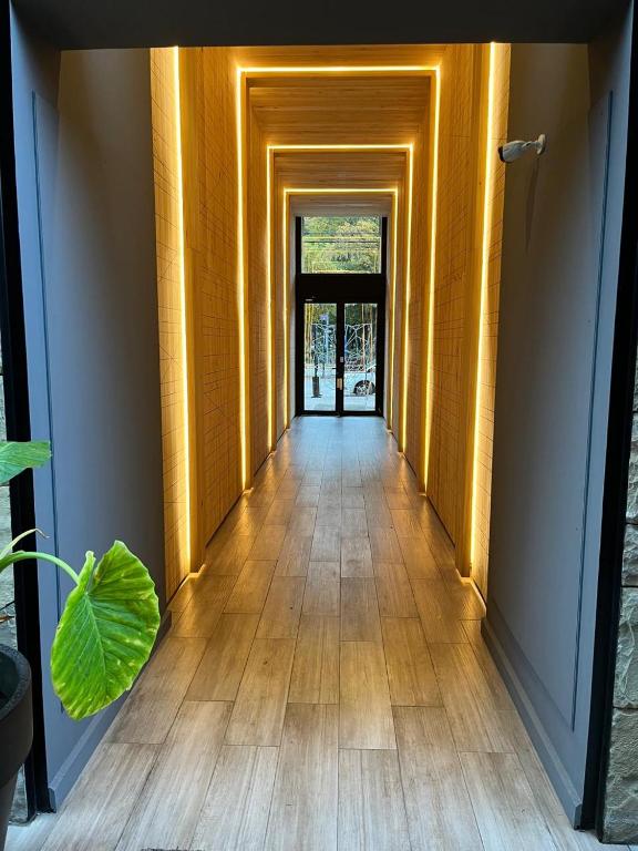 Edificio Pantera - monoambiente 6 - 3