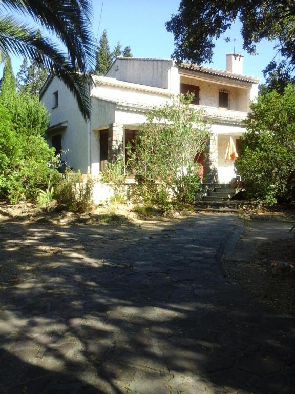 les campanules - 1