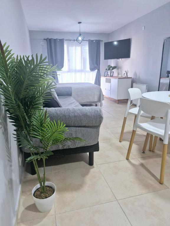 Calido e impecable departamento en el centro de la ciudad - 5