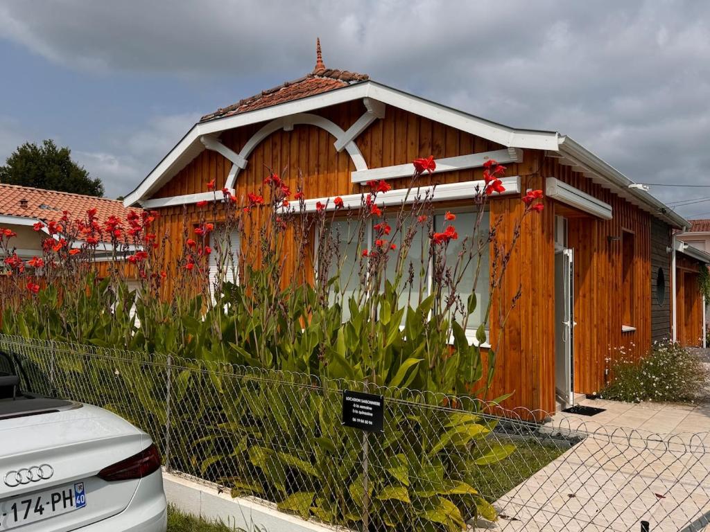 Villa Manolita Andernos les Bains avec jaccuzi - 1