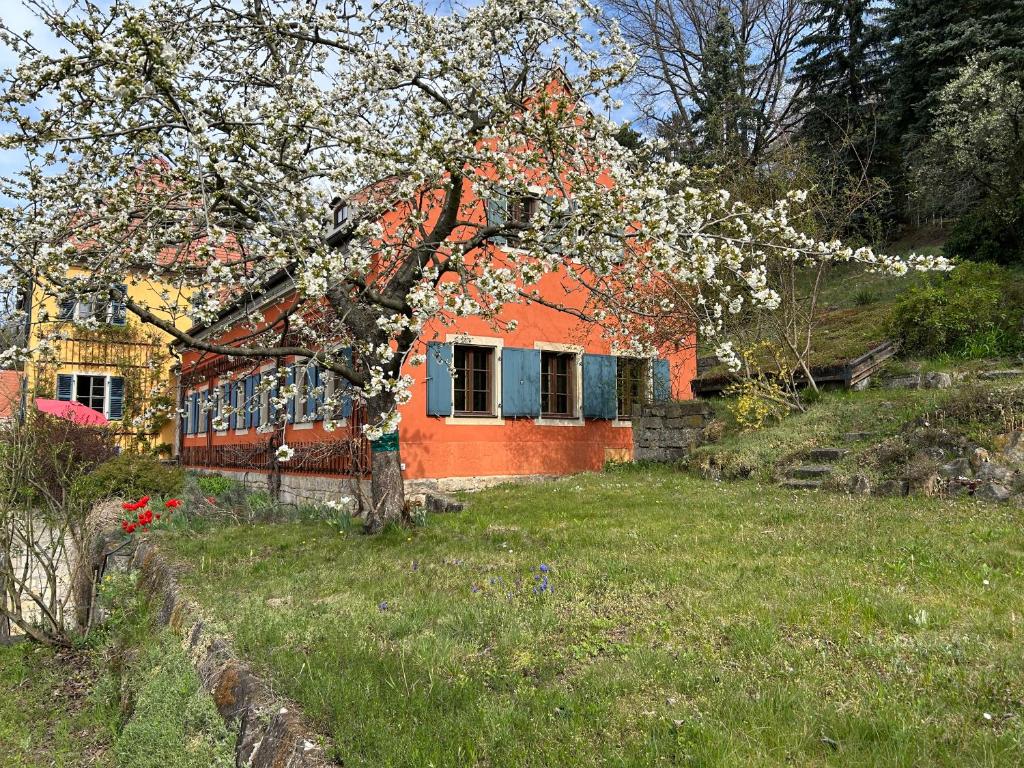 Winzerhaus am Elbhang, Drážďany
