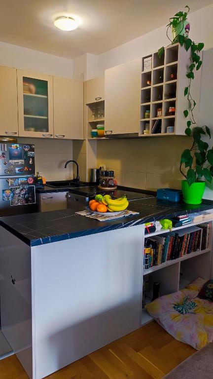 Sila Budva - Cozy Flat with Sea View, Free Parking, Pet Friendly - 2