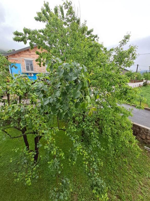 Kuca za odmor Amber - 3
