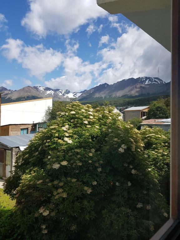 Yeska Apartamentos B - 5