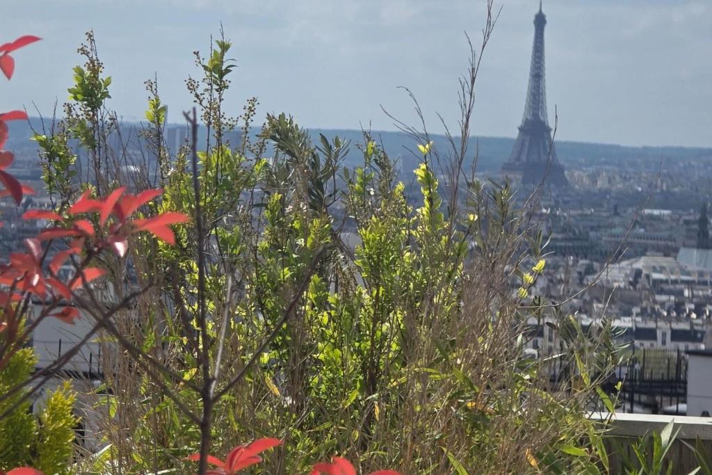 Apartment with terrace and view of Paris - 4