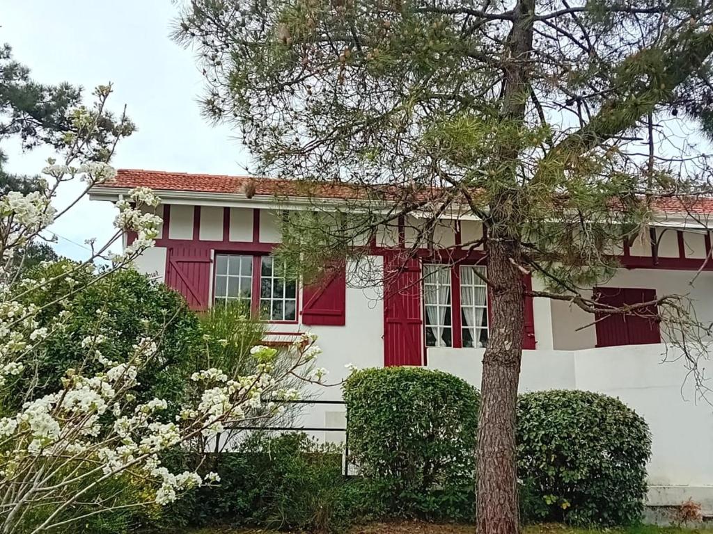 Maison spacieuse à Capbreton, proche port et plages, jusqu'à 6 personnes - FR-1-239-1122 - 2