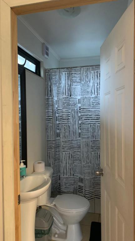 Cabaña un ambiente villarrica - 2