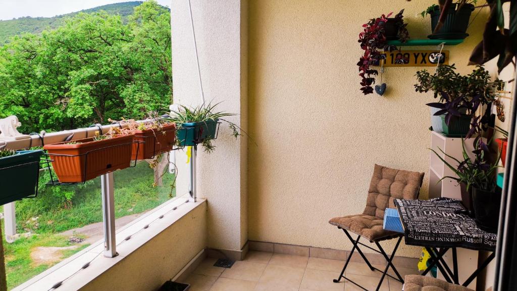 Sila Budva - Cozy Flat with Sea View, Free Parking, Pet Friendly - 4