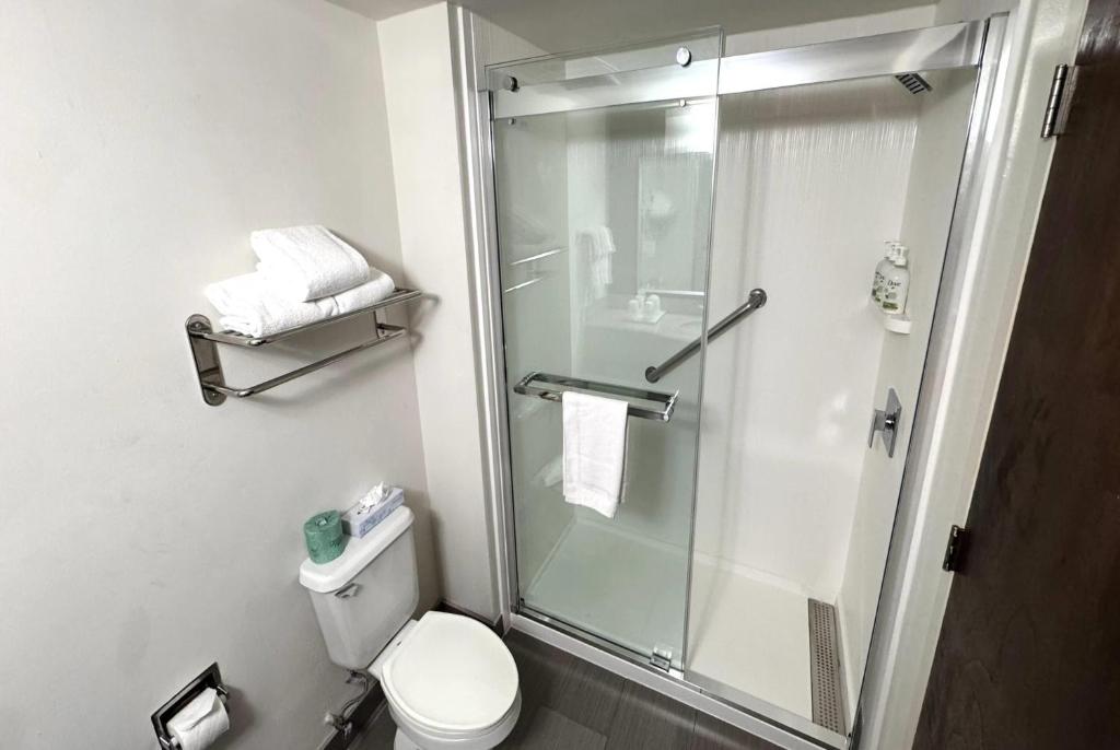 Shower