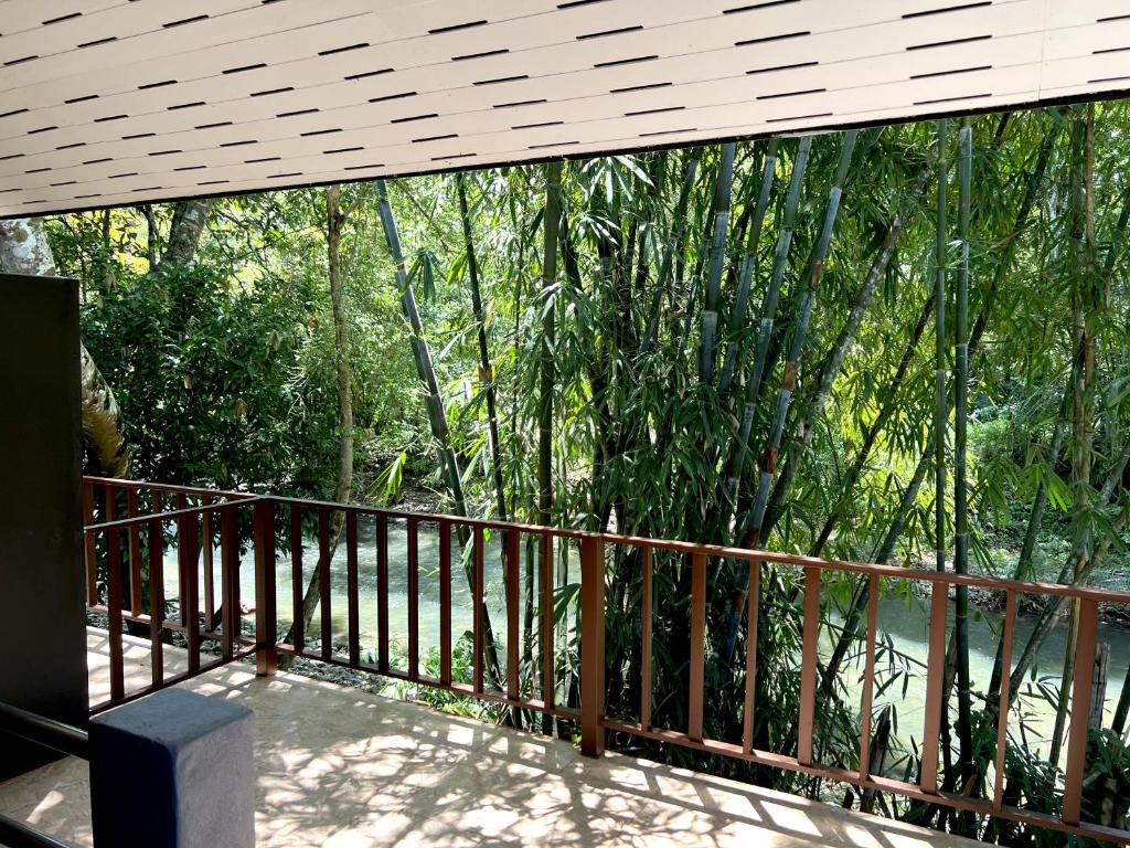 Surrounding environment