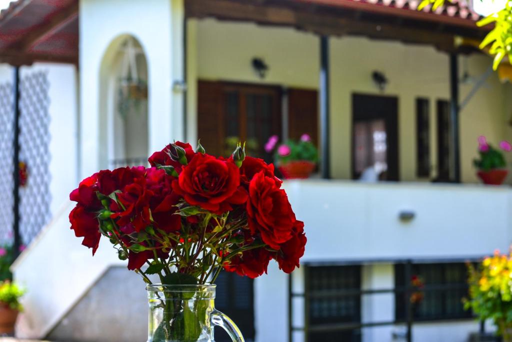 Ianthi House, Néa Thésis