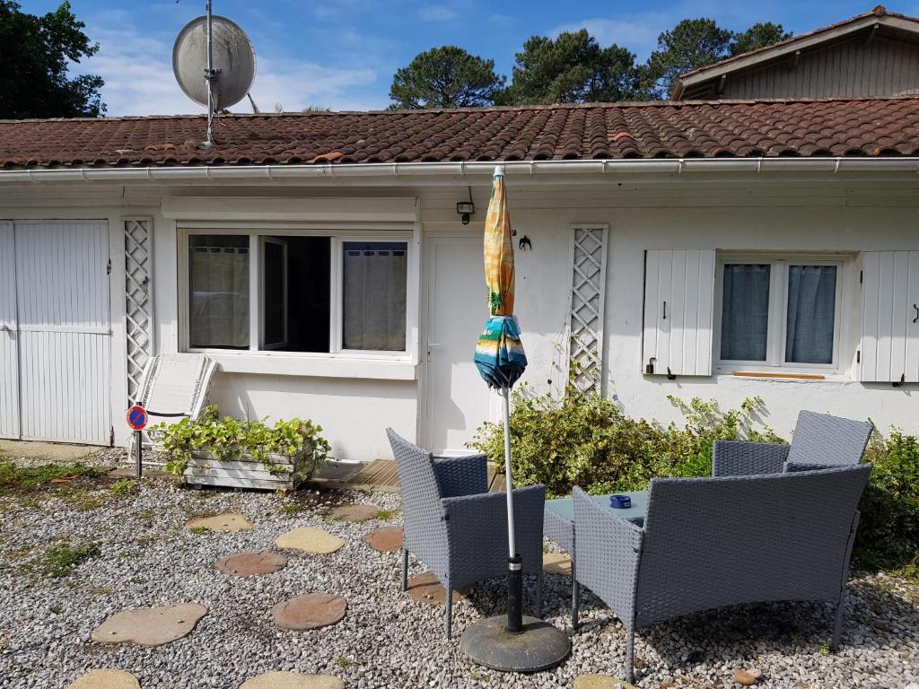 l'hirondelle du coulin - 2