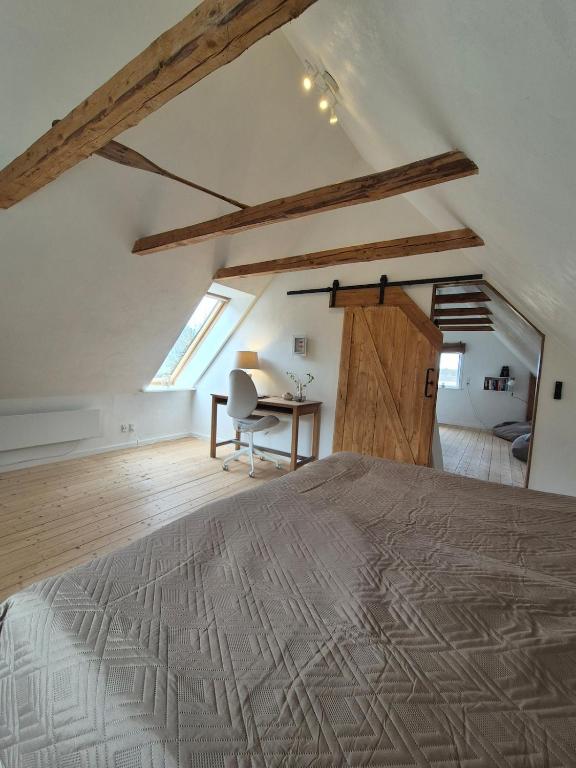 A hidden gem in the woods, Tim