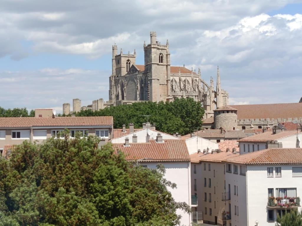 Grand T2 50m2 Narbonne centre, vue sur cathédrale - 4