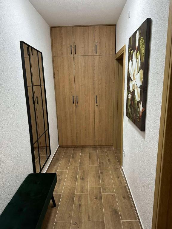 MIL apartment Sokobanja - 3