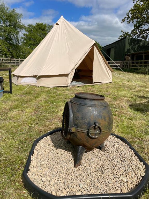 The Paddock Glamping, Barmby on the Moor