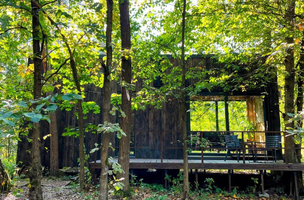 Carthome - wyjątkowe miejsce leśnego wypoczynku, Zynie