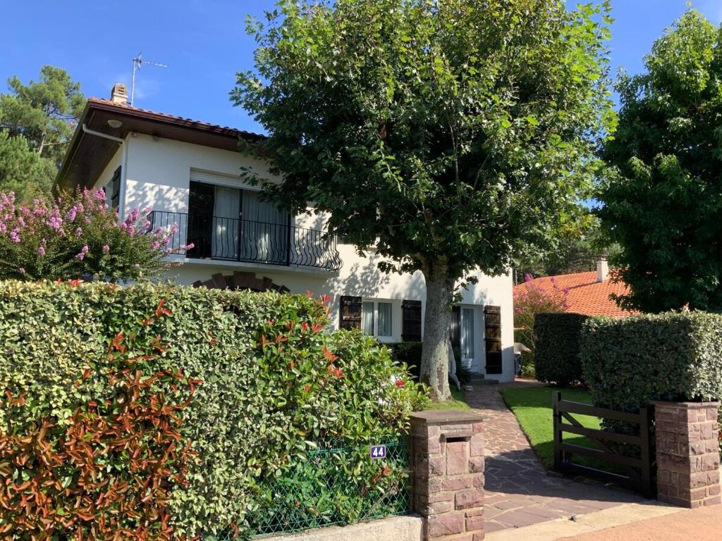Appartement à Capbreton en bordure de forêt, Capbreton