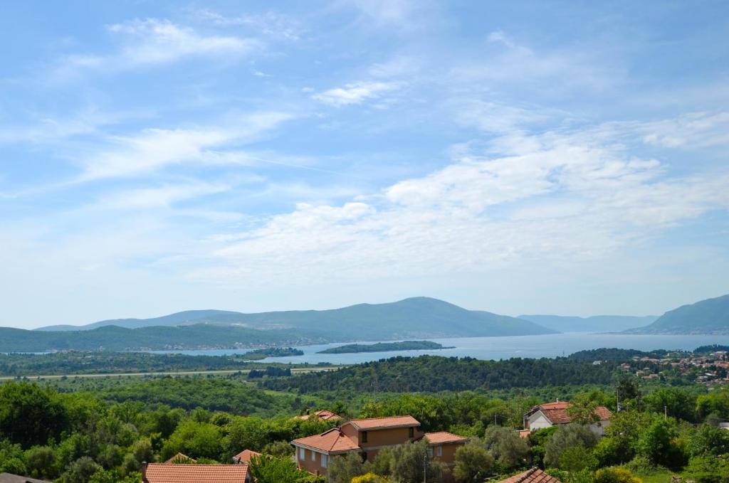 Royal Olive Residence - 1