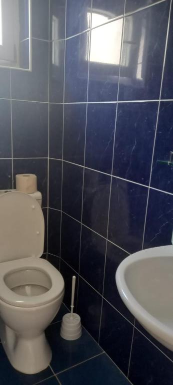 Apartman Olgica - 2