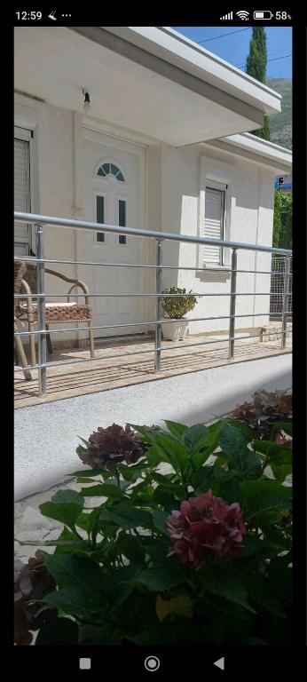 Apartman Olgica - 4
