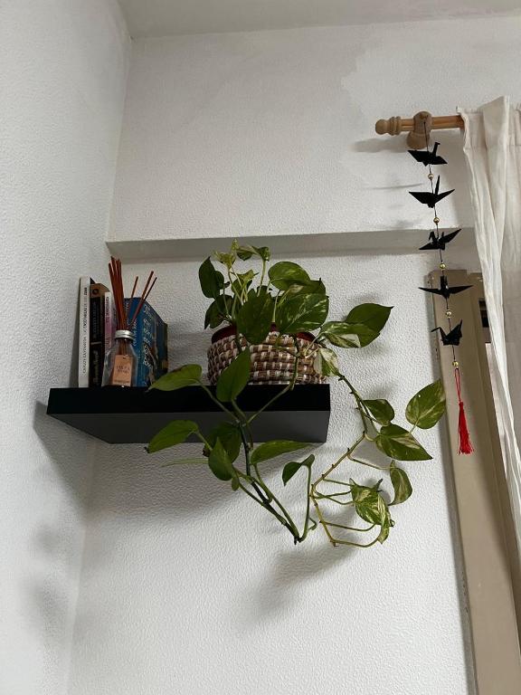 Habitación privada en departamento familiar en Buenos Aires - 4