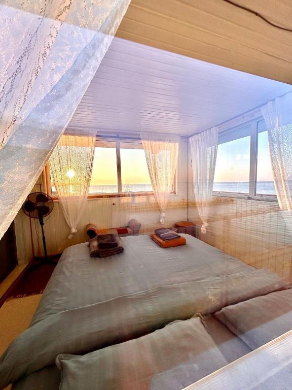 TORN the Tower, Toila