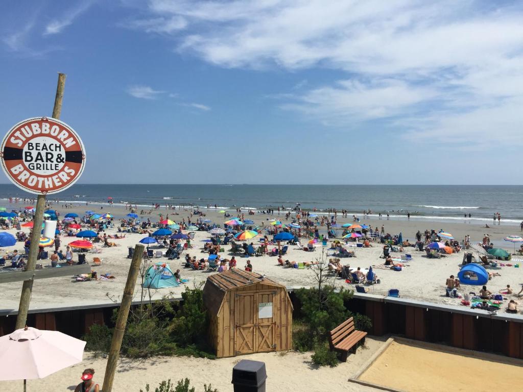 Sandy Shores Resort photo