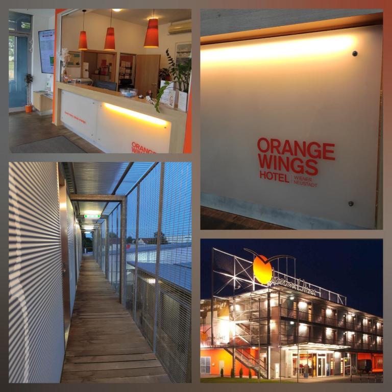 Orange Wings Wiener Neustadt