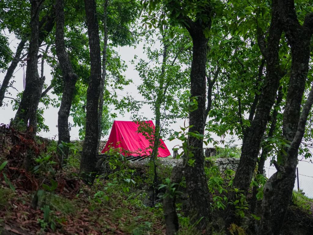 Surrounding environment