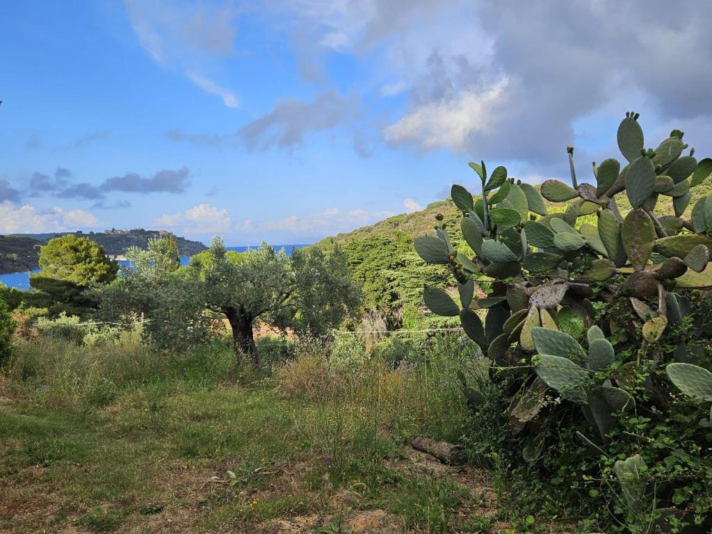 A Casa di Titti - Goelba - 3