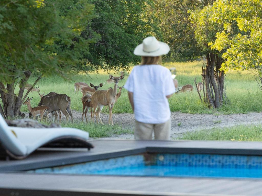 Leopard Plains, Motopi