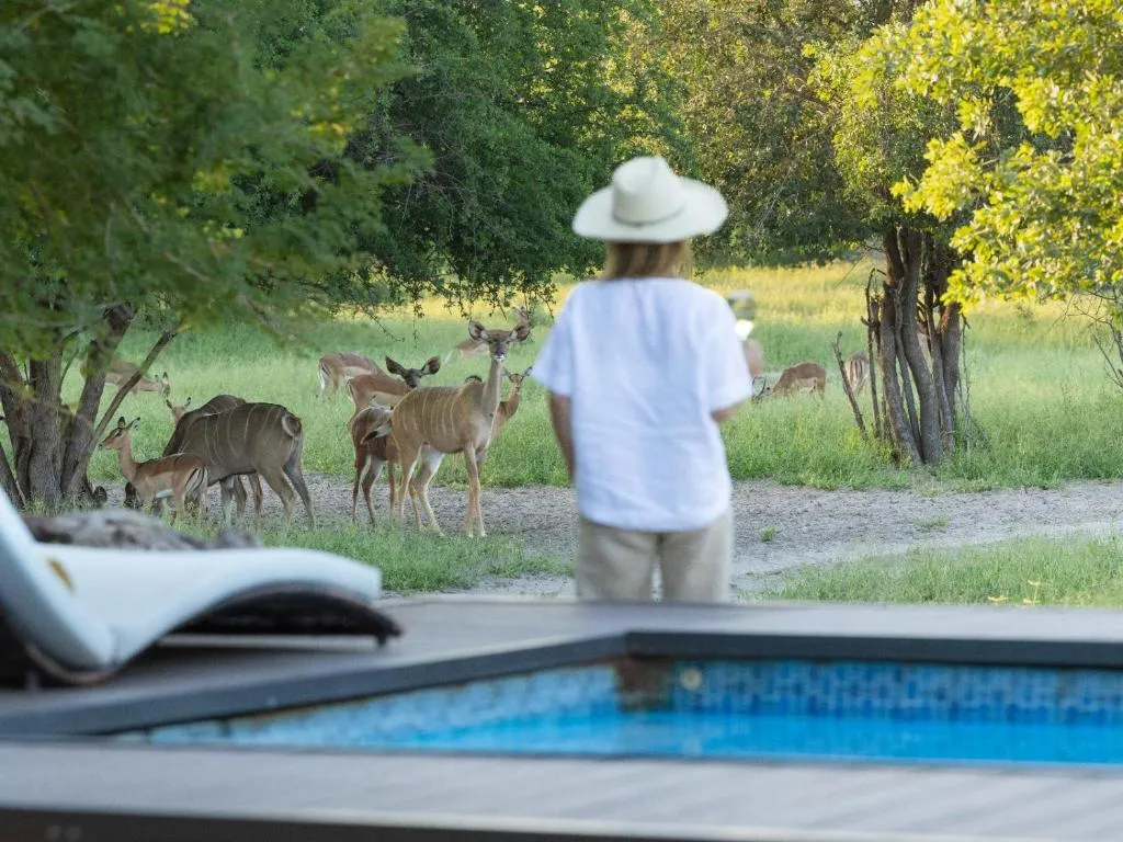Leopard Plains, hotel in Motopi
