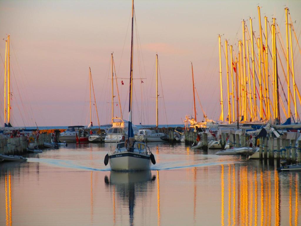 Surrounding environment