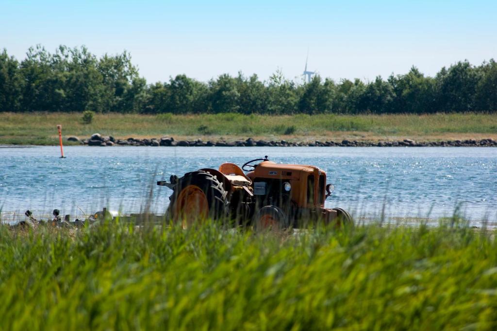 Surrounding environment