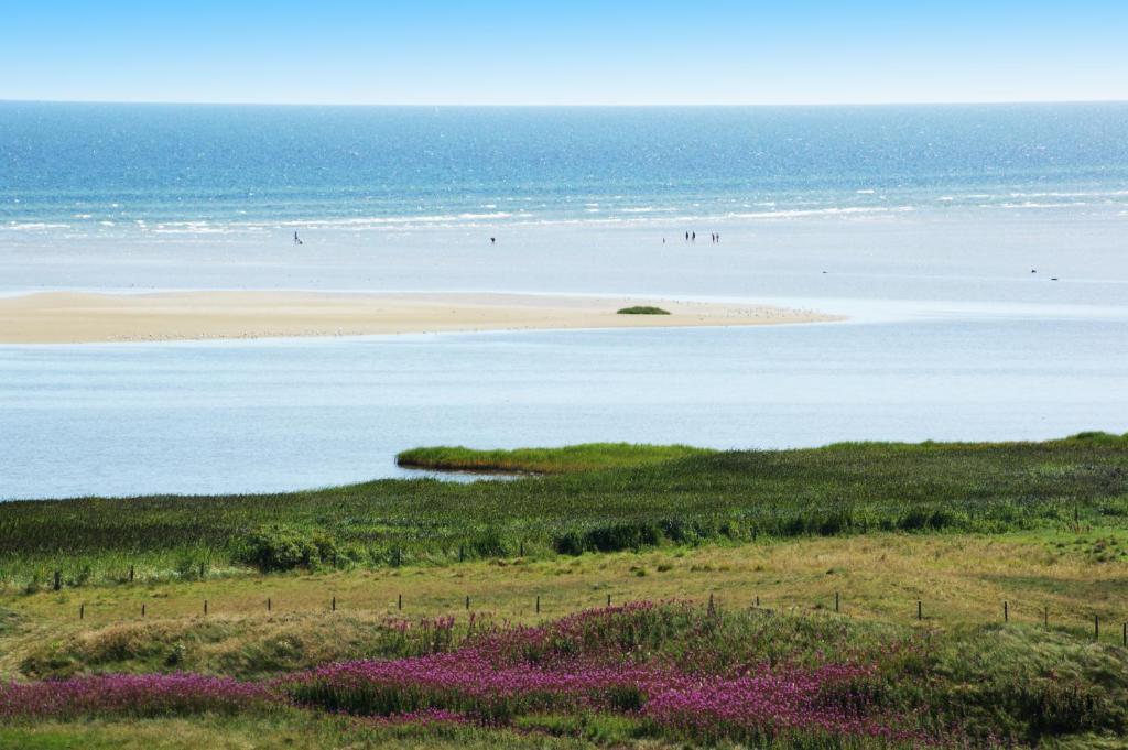 Surrounding environment