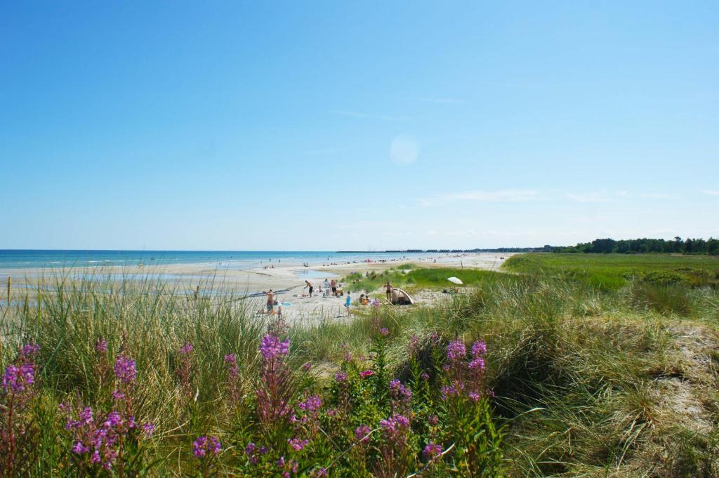 Surrounding environment