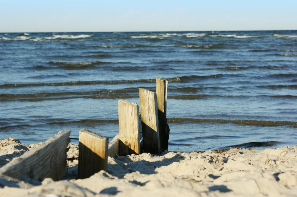 Surrounding environment