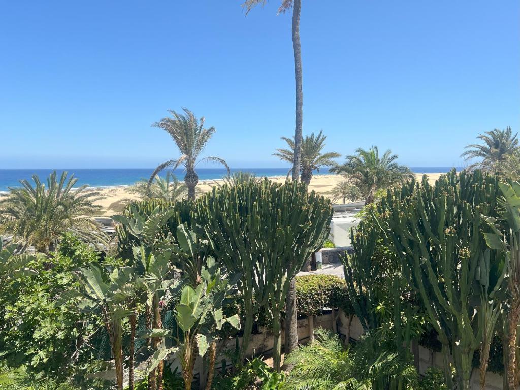 Apartment Hotel TABOGA — Beach in Playa del Ingles, Canary Islands