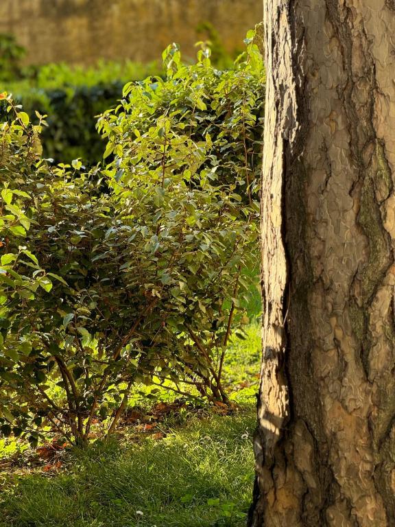 L'Ecrin du Parc By Villa Gaïa Terrasse et parc en centre ville