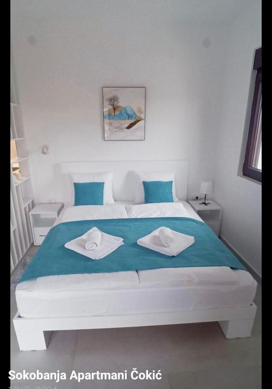 Apartmani Čokić Sokobanja - 5