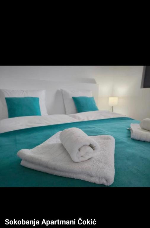 Apartmani Čokić Sokobanja - 2