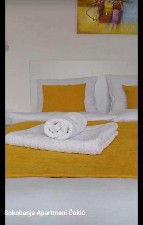 Apartmani Čokić Sokobanja - 3