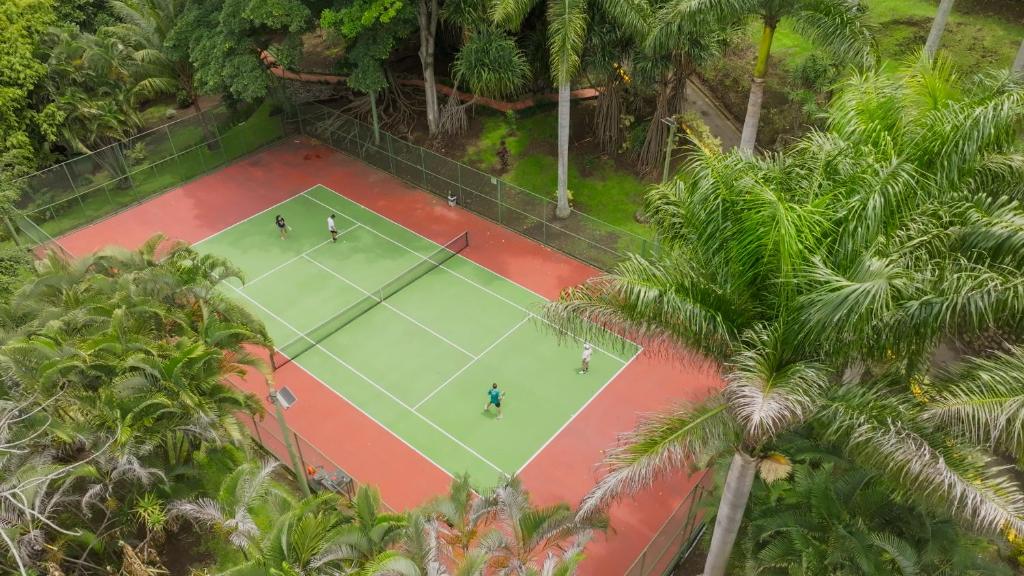 Tennis court