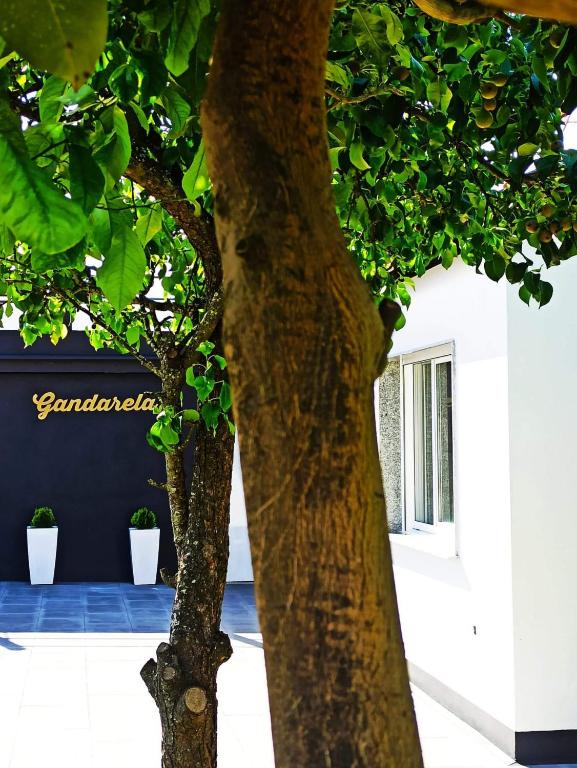 Apartamentos VUT Gandarela - 1