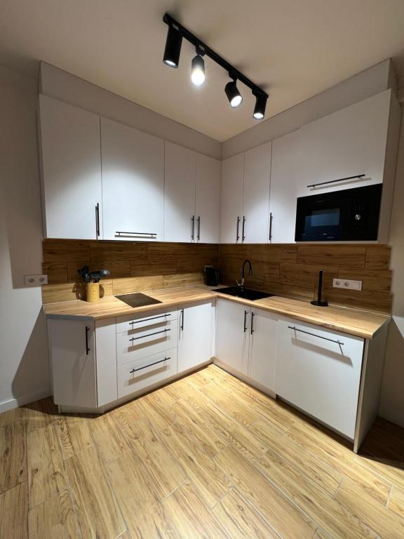 New Apartaments in old town, Černovice