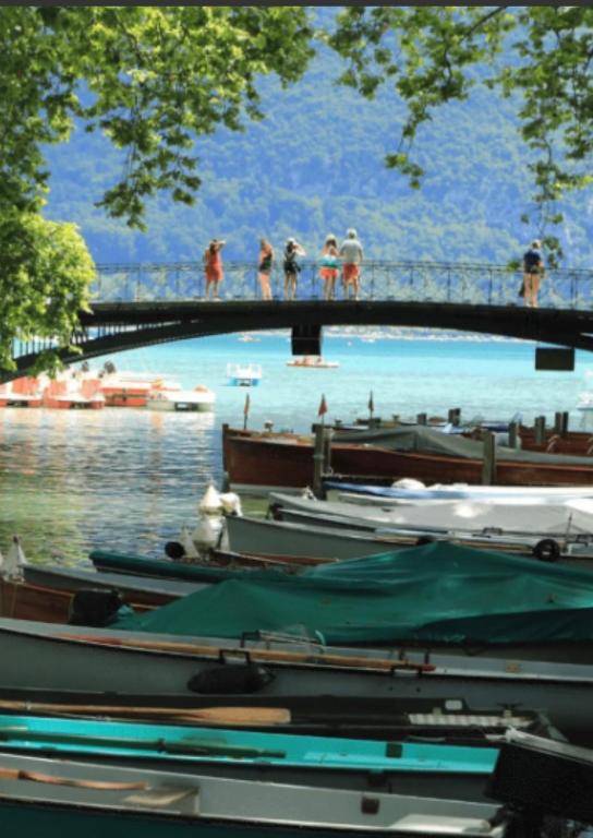 Charmant studio, Epagny Metz-Tessy