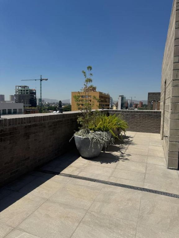 Modern apt in Col Americana - 5