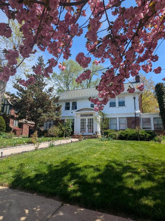 GuestHouse, Elizabeth