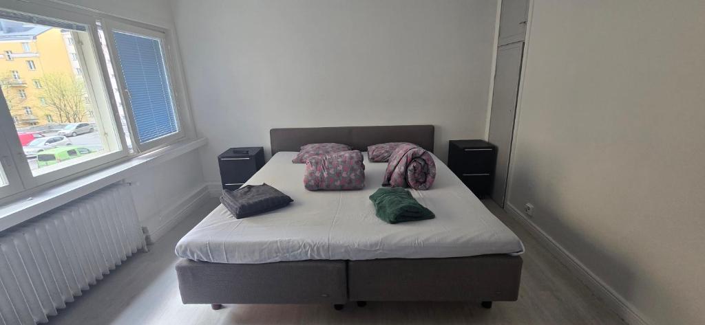 Centric Cozy entire studio in Kallio, Helsinki, Helsinky